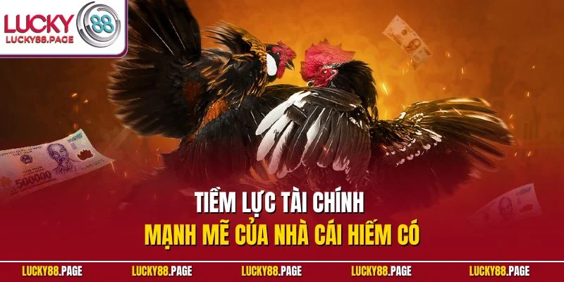Tiềm lực tài chính mạnh mẽ của nhà cái hiếm có